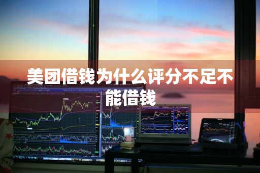 美团借钱为什么评分不足不能借钱