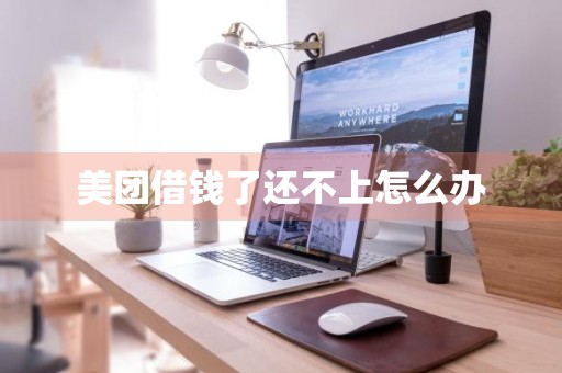 美团借钱了还不上怎么办