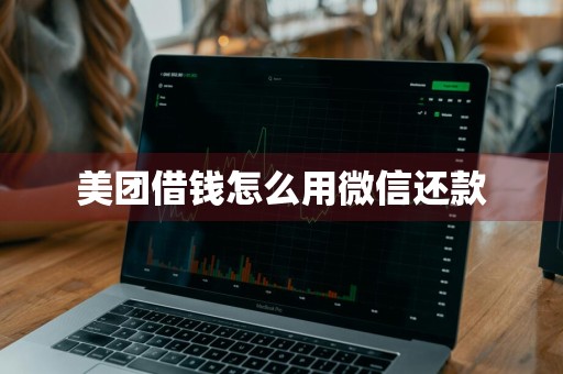 美团借钱怎么用微信还款