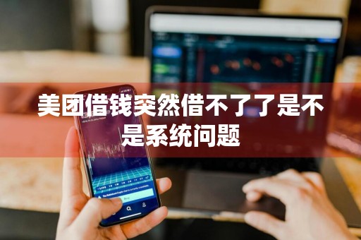美团借钱突然借不了了是不是系统问题