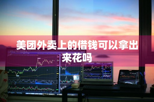 美团外卖上的借钱可以拿出来花吗