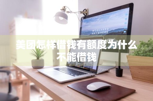 美团怎样借钱有额度为什么不能借钱