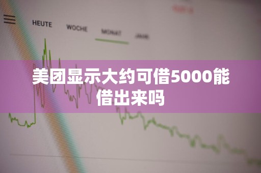 美团显示大约可借5000能借出来吗