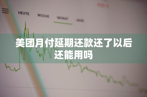 美团月付延期还款还了以后还能用吗