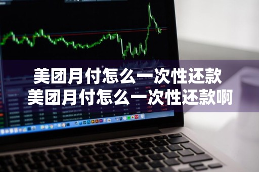 美团月付怎么一次性还款 美团月付怎么一次性还款啊