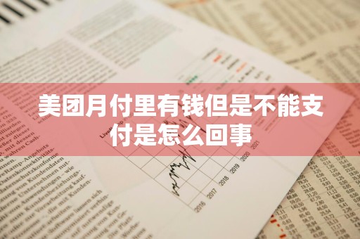 美团月付里有钱但是不能支付是怎么回事