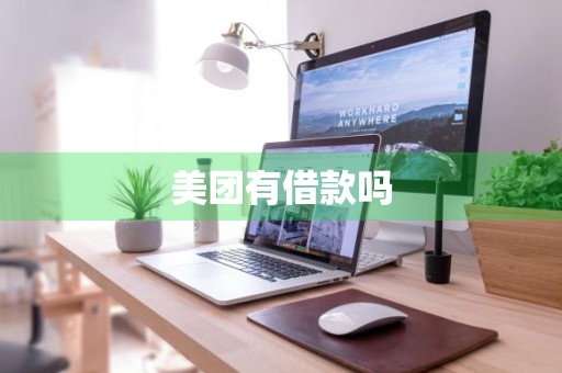 美团有借款吗