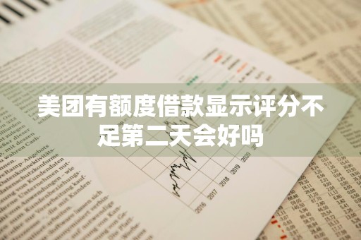 美团有额度借款显示评分不足第二天会好吗