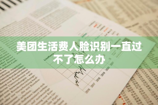 美团生活费人脸识别一直过不了怎么办