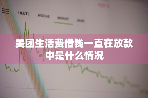 美团生活费借钱一直在放款中是什么情况