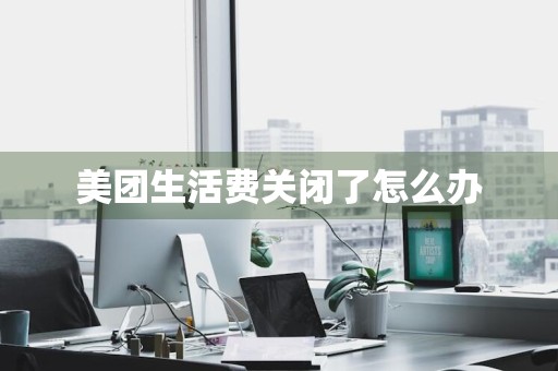 美团生活费关闭了怎么办