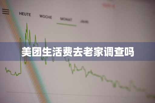美团生活费去老家调查吗