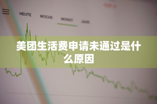 美团生活费申请未通过是什么原因