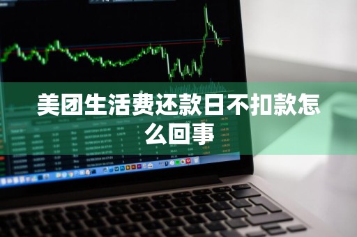美团生活费还款日不扣款怎么回事