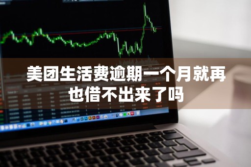美团生活费逾期一个月就再也借不出来了吗