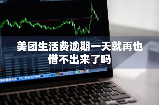 美团生活费逾期一天就再也借不出来了吗