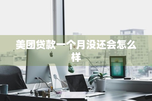 美团贷款一个月没还会怎么样