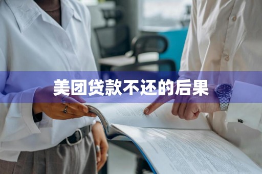 美团贷款不还的后果