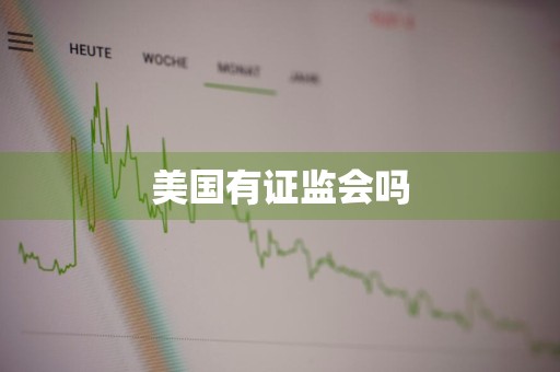 美国有证监会吗