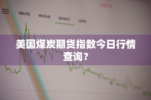 美国煤炭期货指数今日行情查询？
