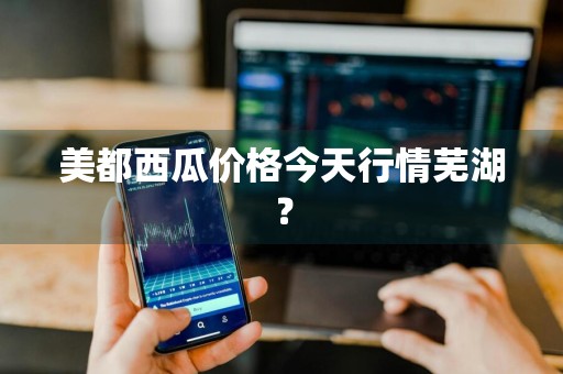 美都西瓜价格今天行情芜湖？