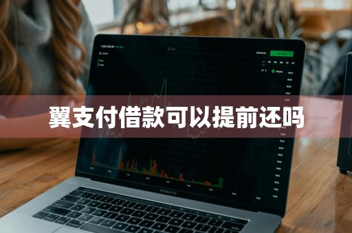 翼支付借款可以提前还吗