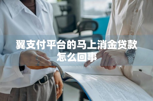 翼支付平台的马上消金贷款怎么回事