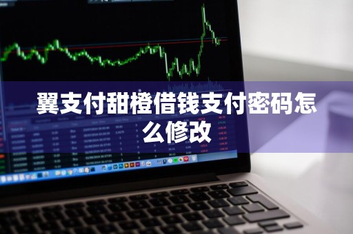 翼支付甜橙借钱支付密码怎么修改