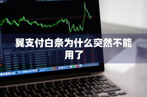 翼支付白条为什么突然不能用了