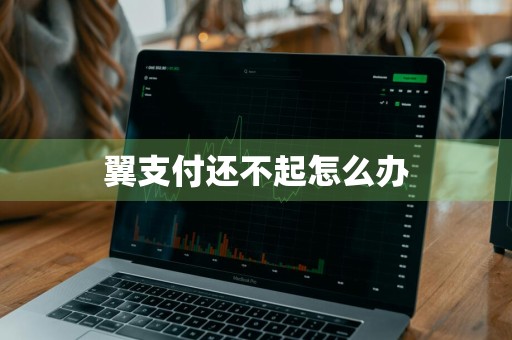 翼支付还不起怎么办