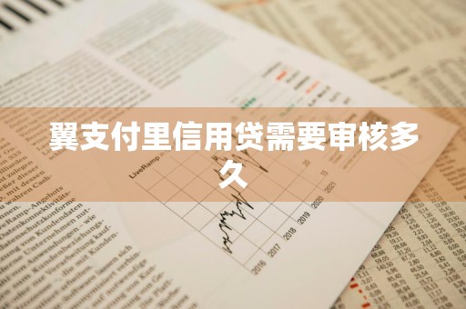 翼支付里信用贷需要审核多久