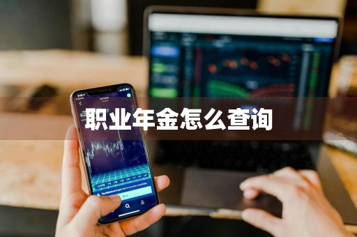 职业年金怎么查询