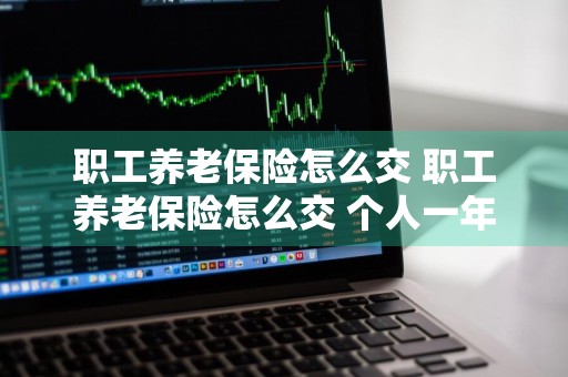 职工养老保险怎么交 职工养老保险怎么交 个人一年多少钱