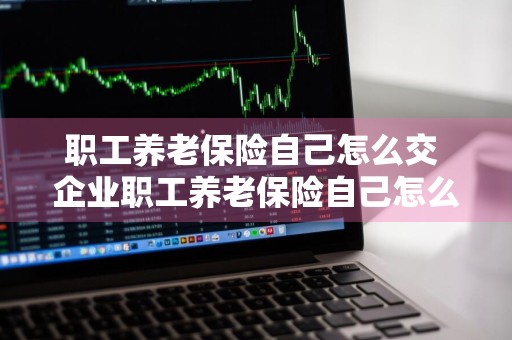 职工养老保险自己怎么交 企业职工养老保险自己怎么交