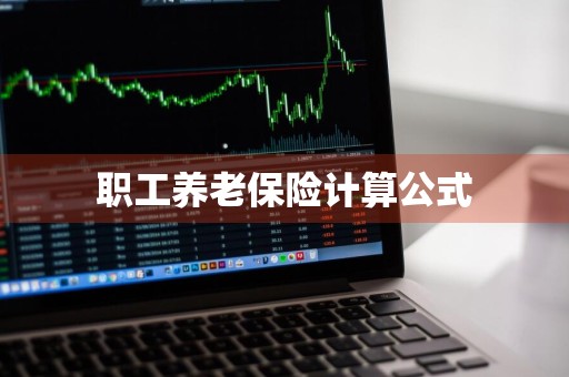 职工养老保险计算公式