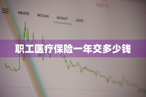 职工医疗保险一年交多少钱
