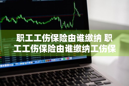 职工工伤保险由谁缴纳 职工工伤保险由谁缴纳工伤保险费