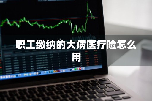 职工缴纳的大病医疗险怎么用
