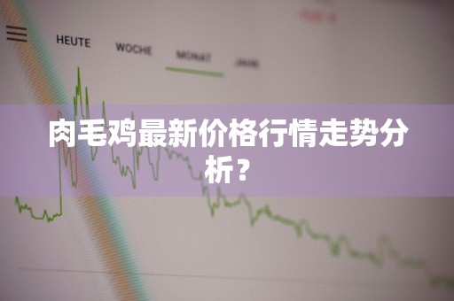 肉毛鸡最新价格行情走势分析？