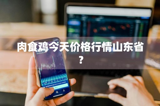 肉食鸡今天价格行情山东省？