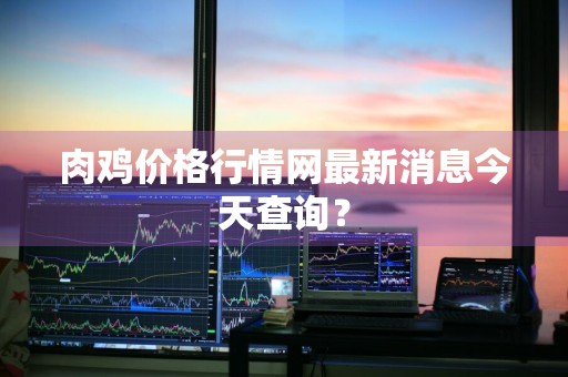 肉鸡价格行情网最新消息今天查询？