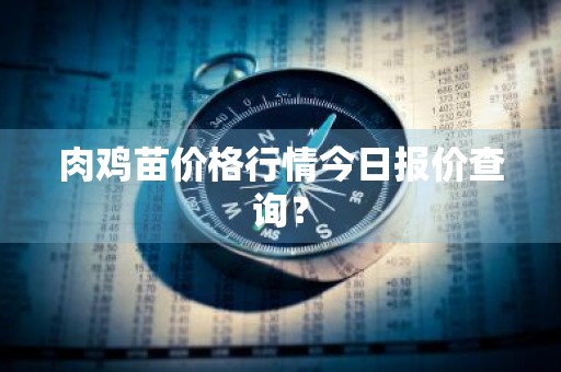 肉鸡苗价格行情今日报价查询？
