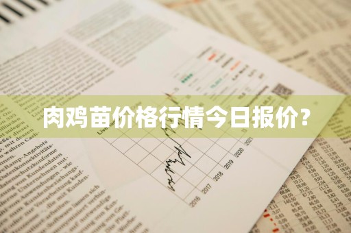 肉鸡苗价格行情今日报价？