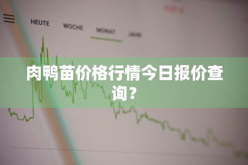 肉鸭苗价格行情今日报价查询?