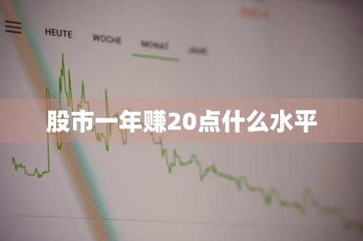 股市一年赚20点什么水平
