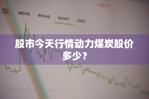 股市今天行情动力煤炭股价多少？