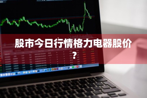 股市今日行情格力电器股价？