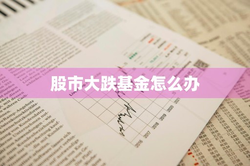 股市大跌基金怎么办