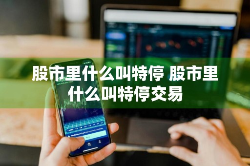 股市里什么叫特停 股市里什么叫特停交易