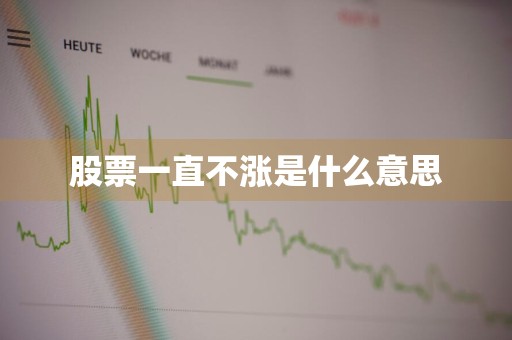股票一直不涨是什么意思